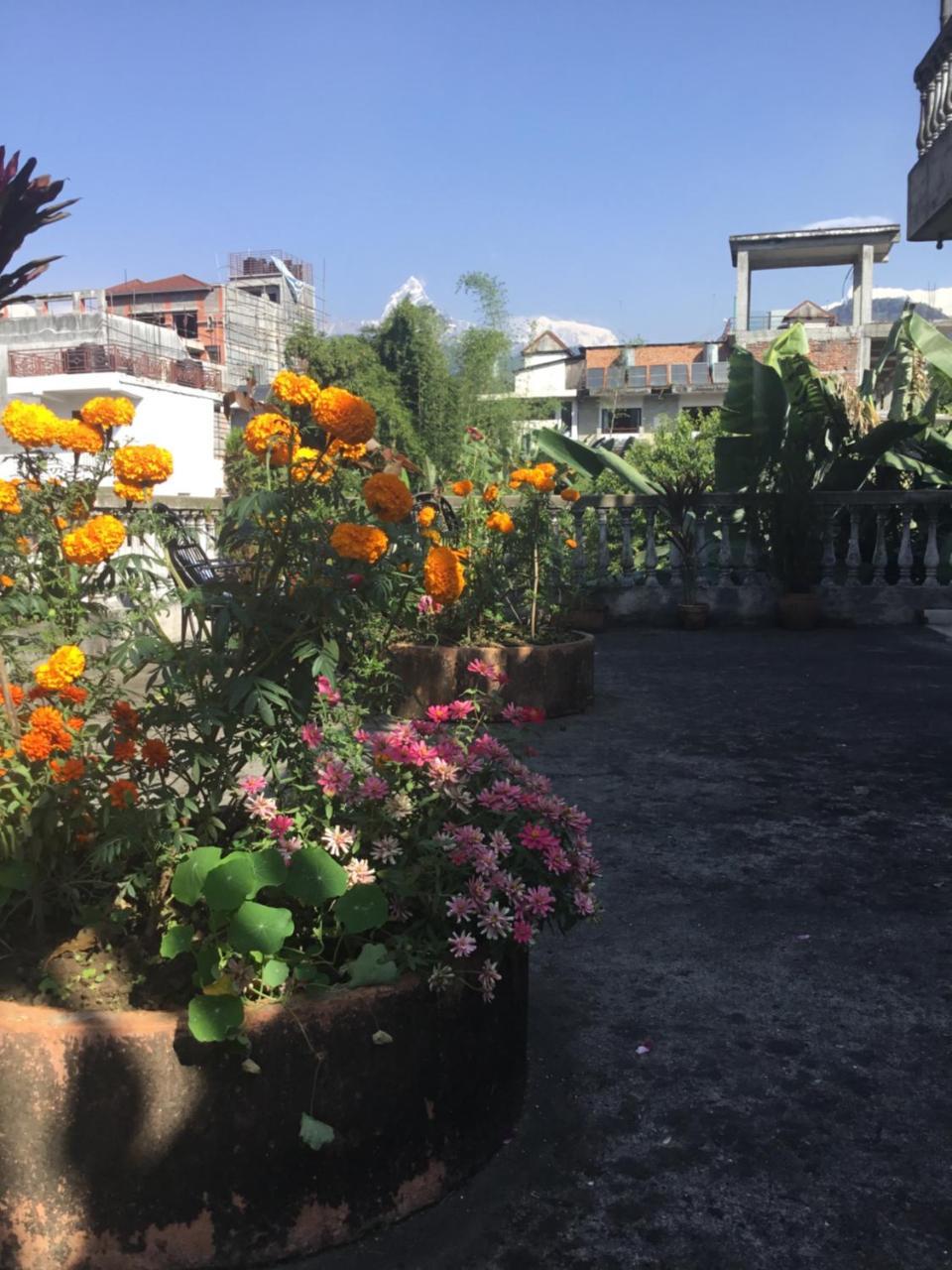 פוקהרה Sacred Valley Inn מראה חיצוני תמונה