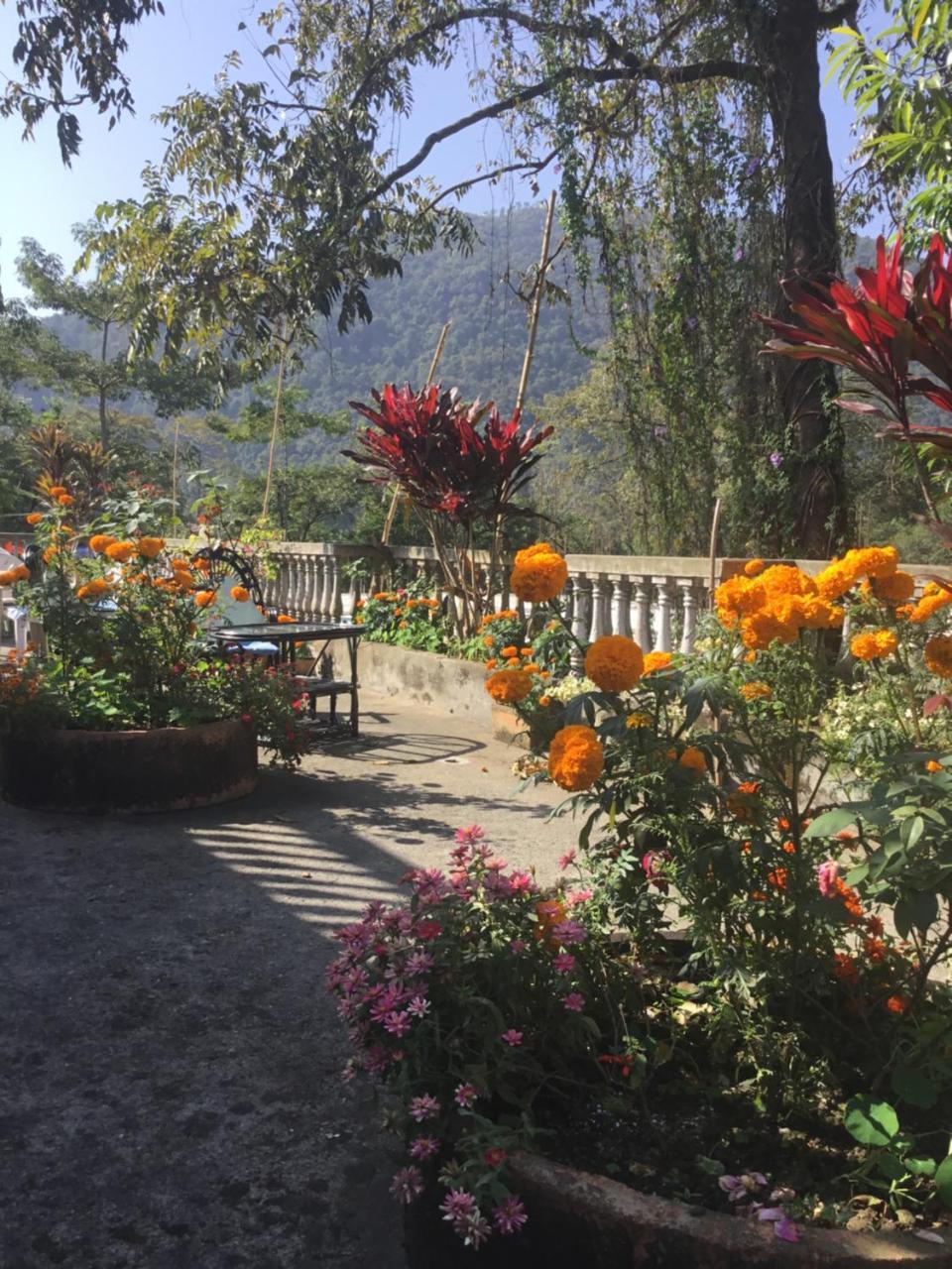 פוקהרה Sacred Valley Inn מראה חיצוני תמונה